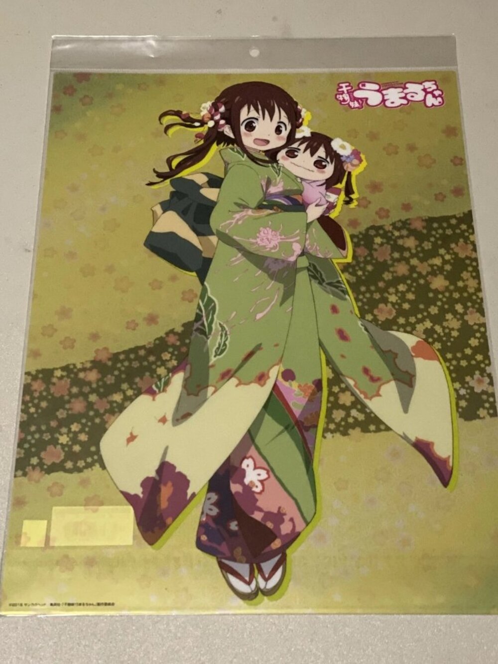 Himouto! Umaru-chan TOHO Co 2015 Nana & Umaru Anime Manga Clear Poster